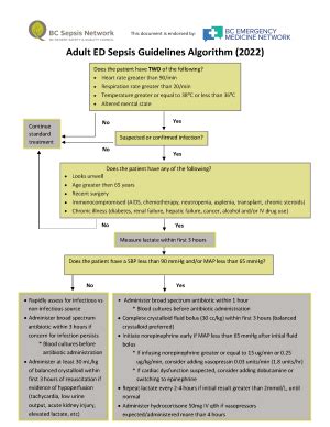 sepsis shock guidelines 2022